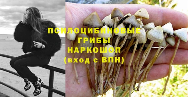 COCAINE Алексеевка