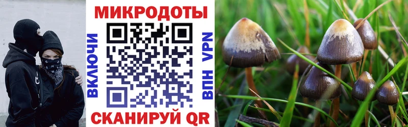 наркотики  Кыштым  гидра зеркало  Галлюциногенные грибы GOLDEN TEACHER 