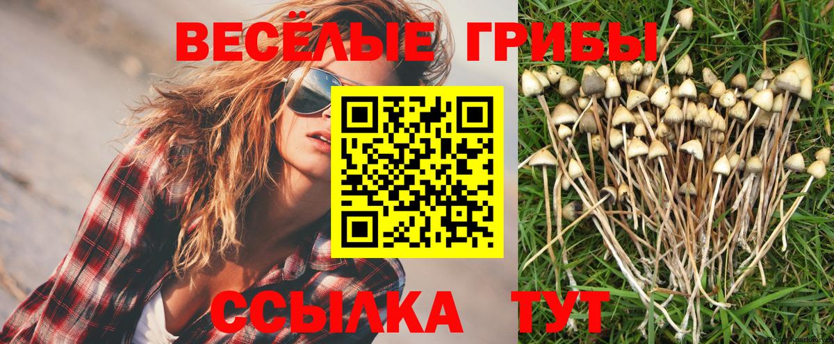 Галлюциногенные грибы MAGIC MUSHROOMS  Псилоцибиновые грибы Cubensis  Кыштым  Вход с VPN 