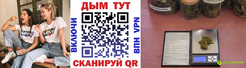 Шишки марихуана планчик  мега ссылка  Кыштым 